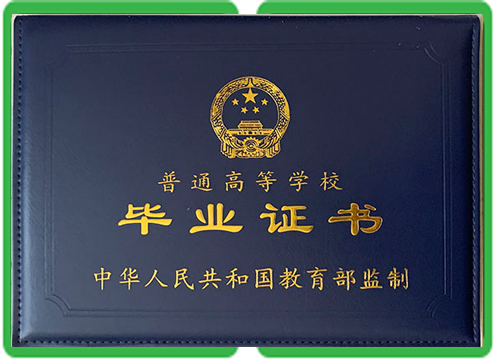 仿制证件定制案例-企业资质文件